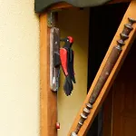 With 3 Apartments, Just Outside Berlin, Near To Tesla * Burig