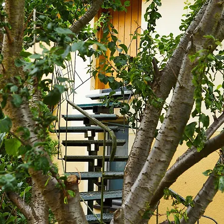 With 3 Apartments, Just Outside Berlin, Near To Tesla