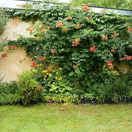 With 3 Apartments, Just Outside Berlin, Near To Tesla Burig