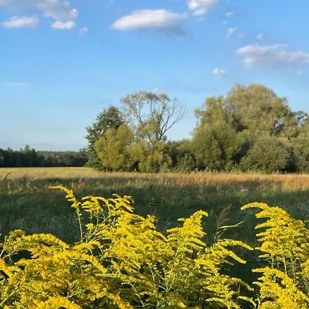 With 3 Apartments, Just Outside Berlin, Near To Tesla Burig