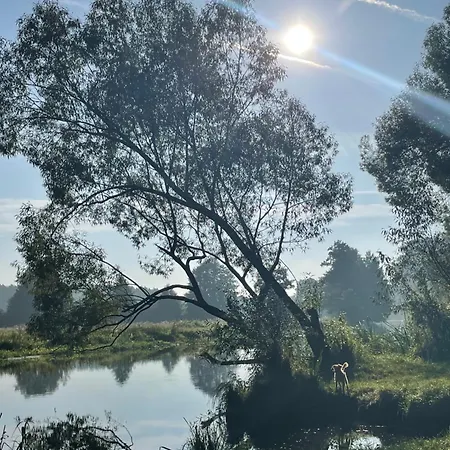 With 3 Apartments, Just Outside Berlin, Near To Tesla דירה