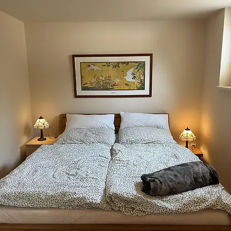 With 3 Apartments, Just Outside Berlin, Near To Tesla דירה