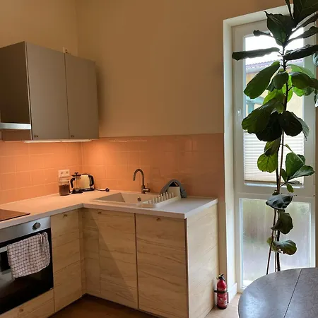 With 3 Apartments, Just Outside Berlin, Near To Tesla Burig