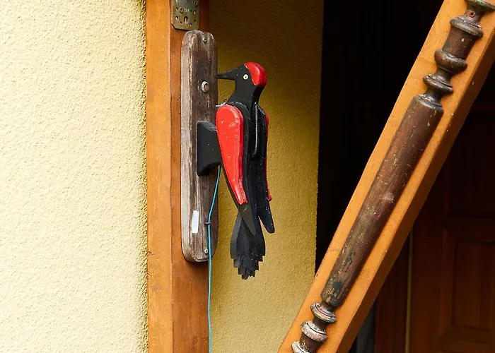 With 3 Apartments, Just Outside Berlin, Near To Tesla * Burig