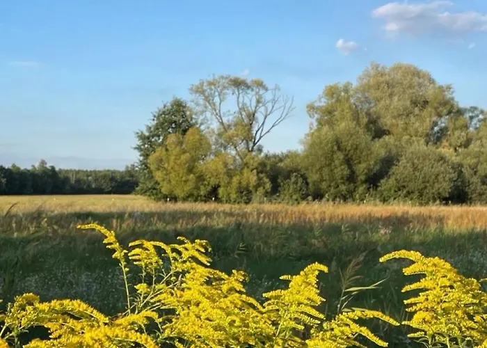 With 3 Apartments, Just Outside Berlin, Near To Tesla Burig