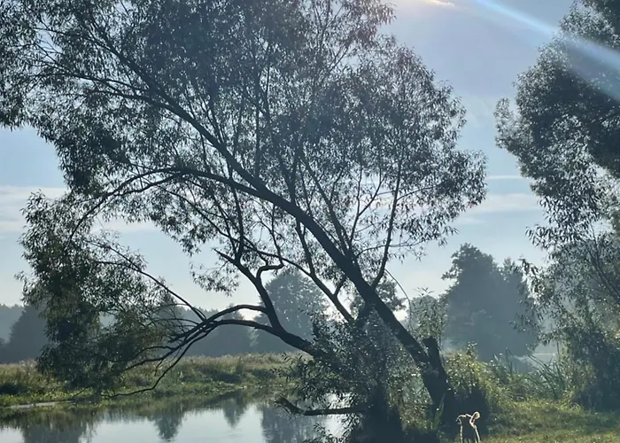 With 3 Apartments, Just Outside Berlin, Near To Tesla Apartment