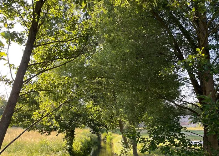 With 3 Apartments, Just Outside Berlin, Near To Tesla Apartment *