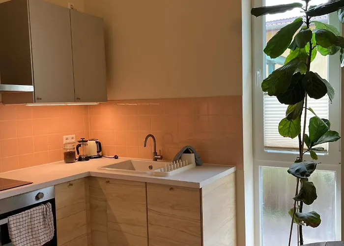 With 3 Apartments, Just Outside Berlin, Near To Tesla Burig